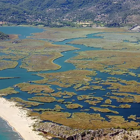 Hotel Caria Royal 3*