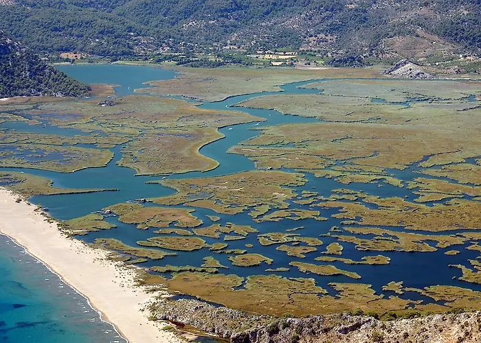 Hotel Caria Royal 3*