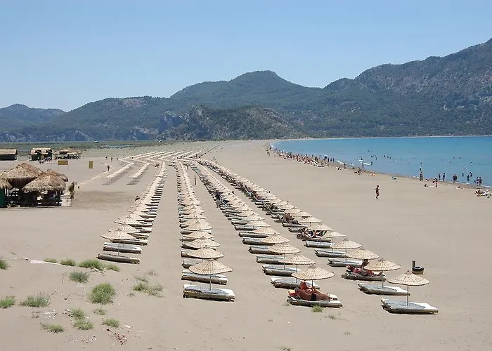 Caria Royal Hotel 3*