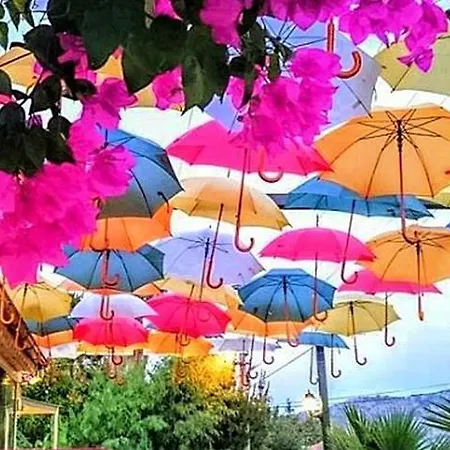 Szálloda Dalyan Hotel Caria Royal 3*