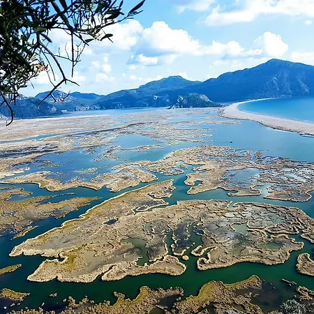 ホテル Caria Royal ダルヤン