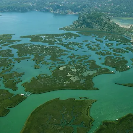 Caria Royal ホテル ダルヤン